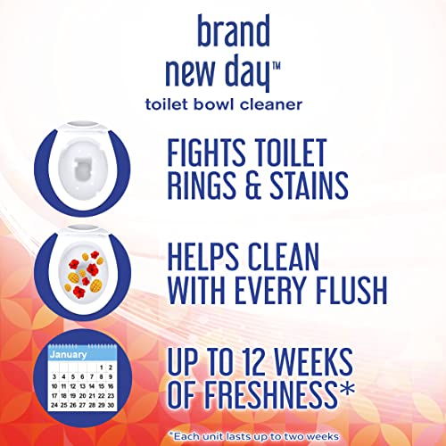 Automatic Toilet Bowl Cleaner