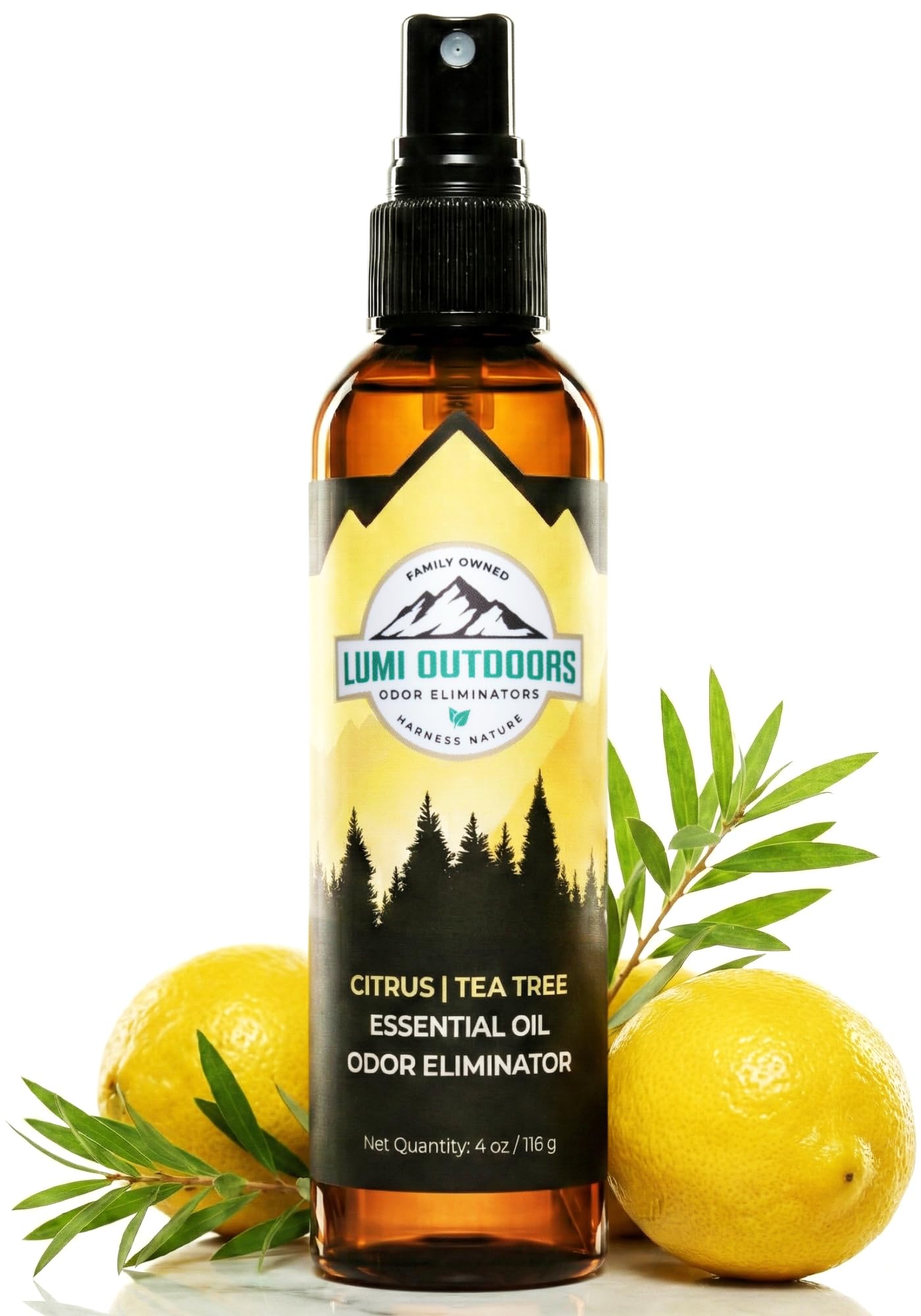 Shoe Deodorizer Spray