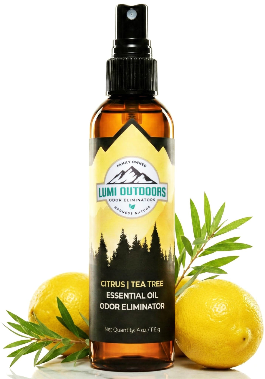 Shoe Deodorizer Spray
