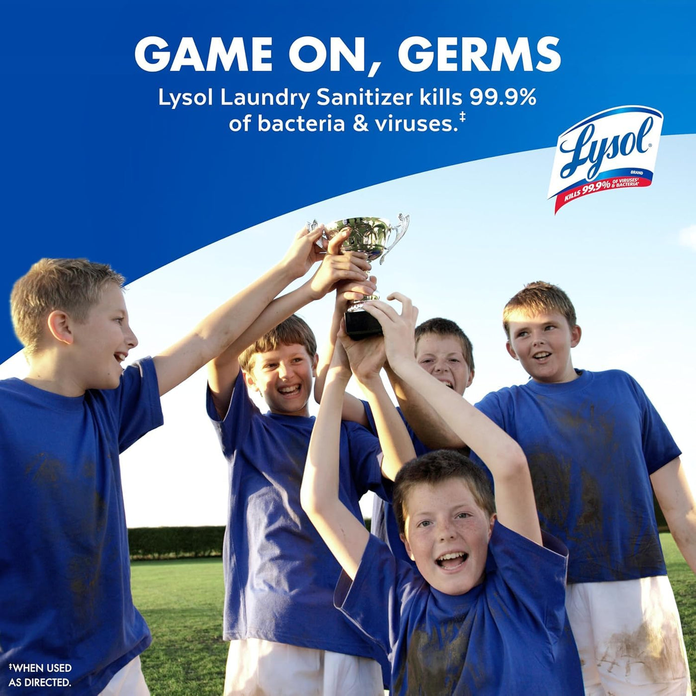 Lysol Disinfectant Laundry Sanitizer & Scent Booster