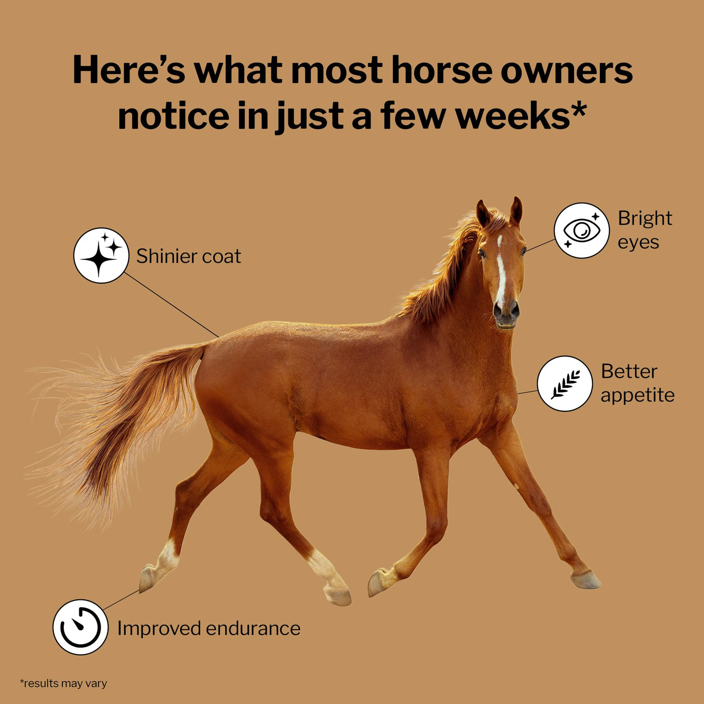 Horse Vitamin & Mineral Supplement