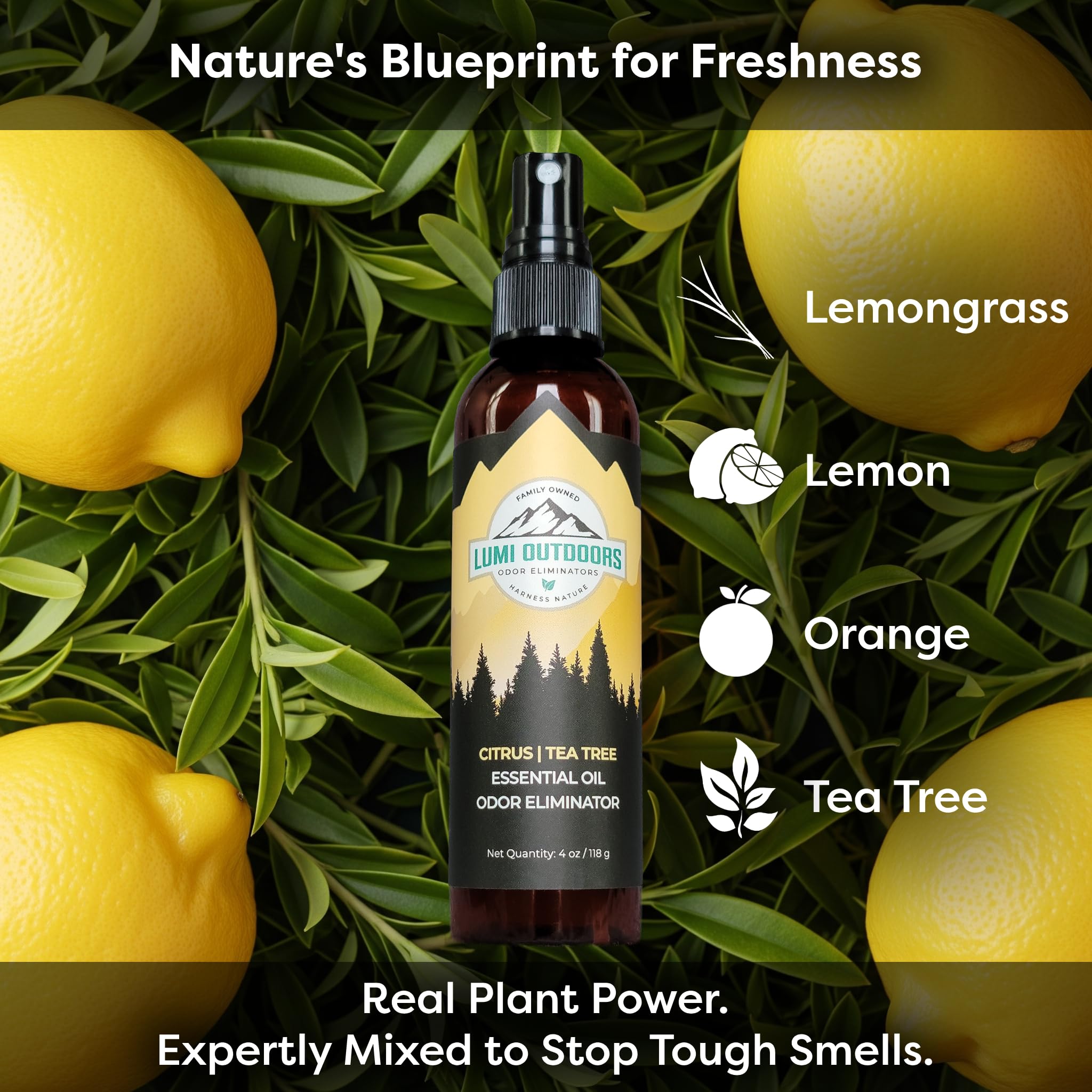 Shoe Deodorizer Spray