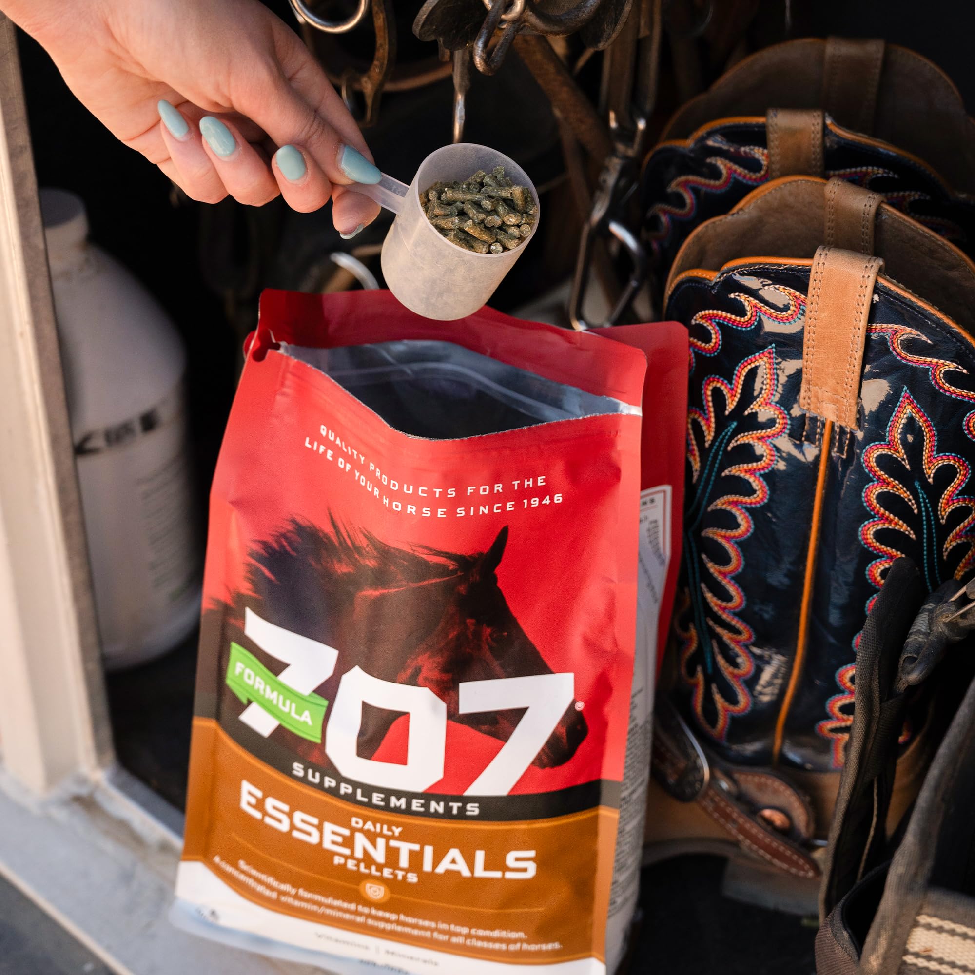 Horse Vitamin & Mineral Supplement