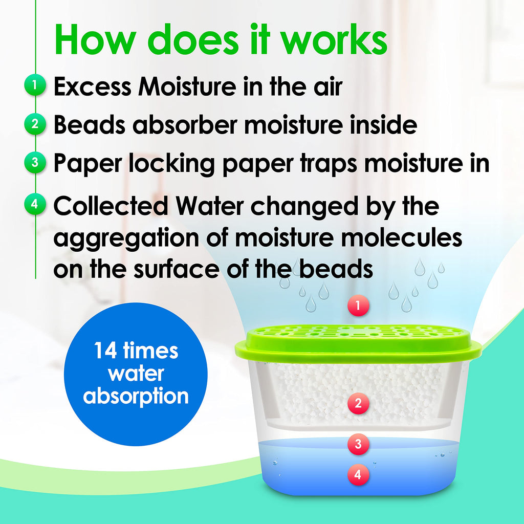Moisture Absorber & Deodorizer