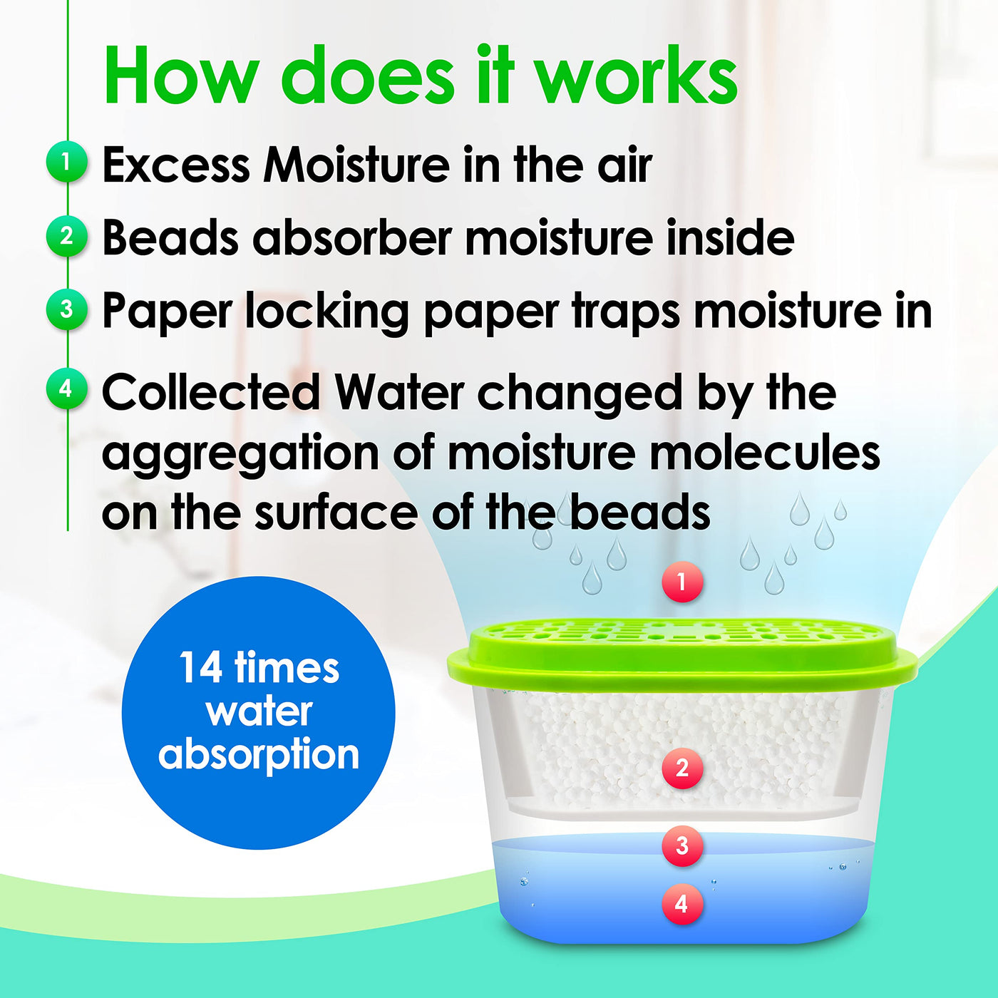 Moisture Absorber & Deodorizer