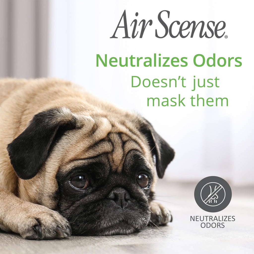 Essential Oil Air Freshener