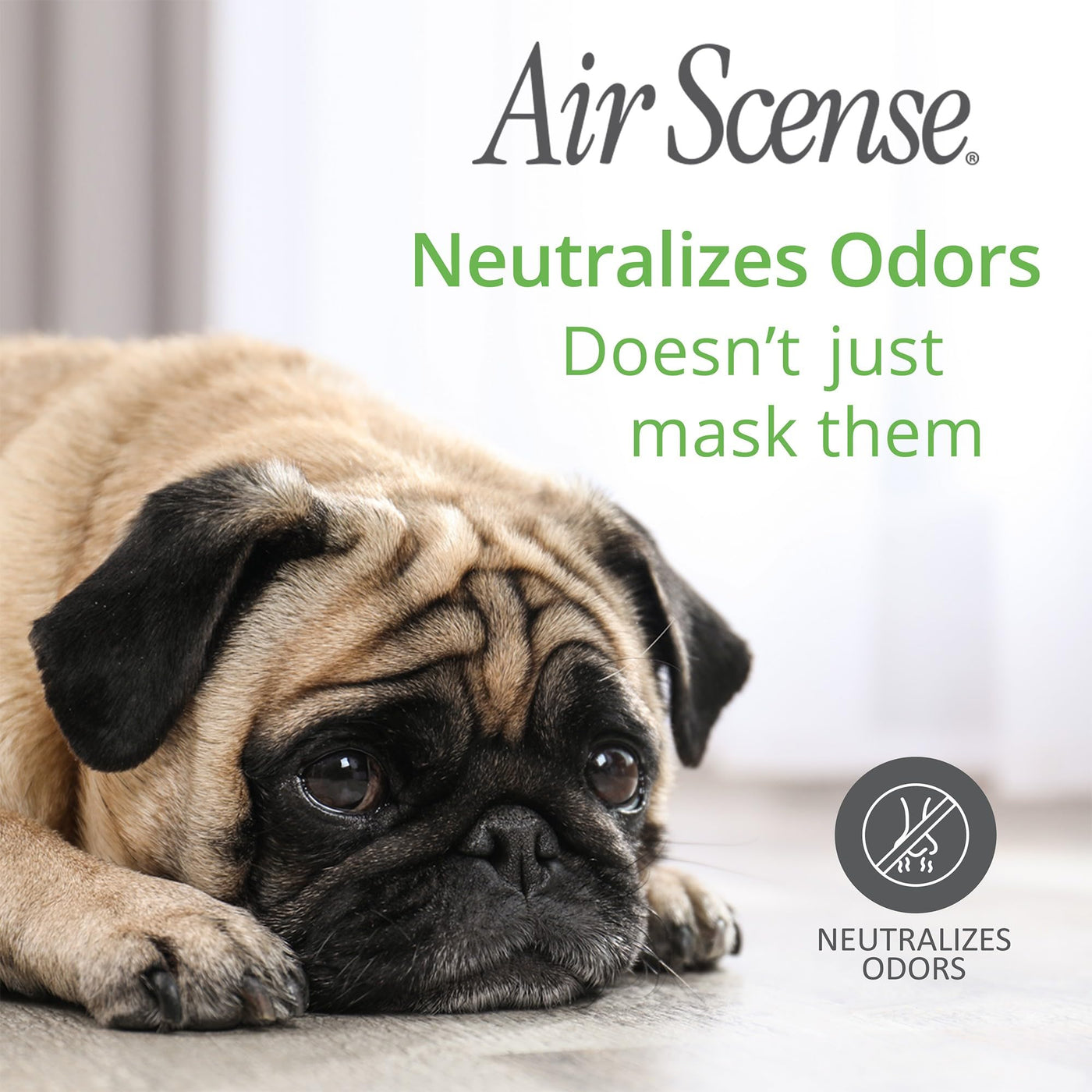 Essential Oil Air Freshener