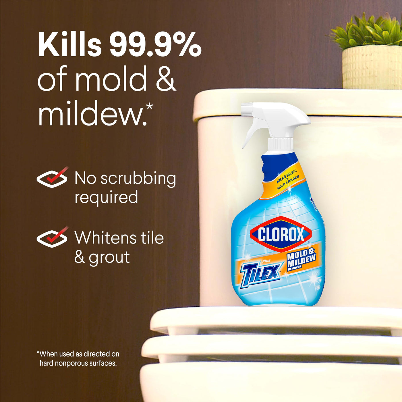 Mold & Mildew Remover Spray