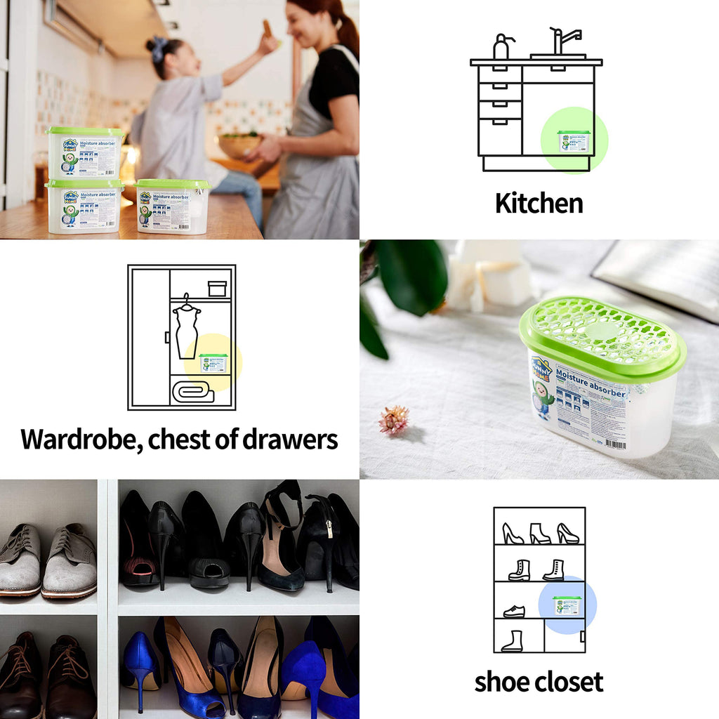 Moisture Absorber & Deodorizer